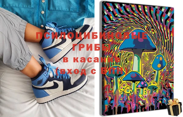 стафф Кулебаки