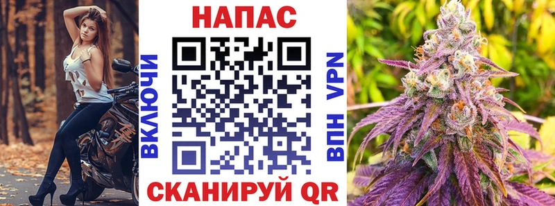 Конопля планчик  Купить где  Кириллов 